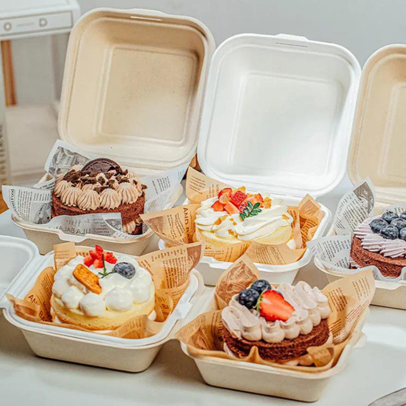 Nice Food Snacks - 10 pcs Wadah Makanan Bento Sekali