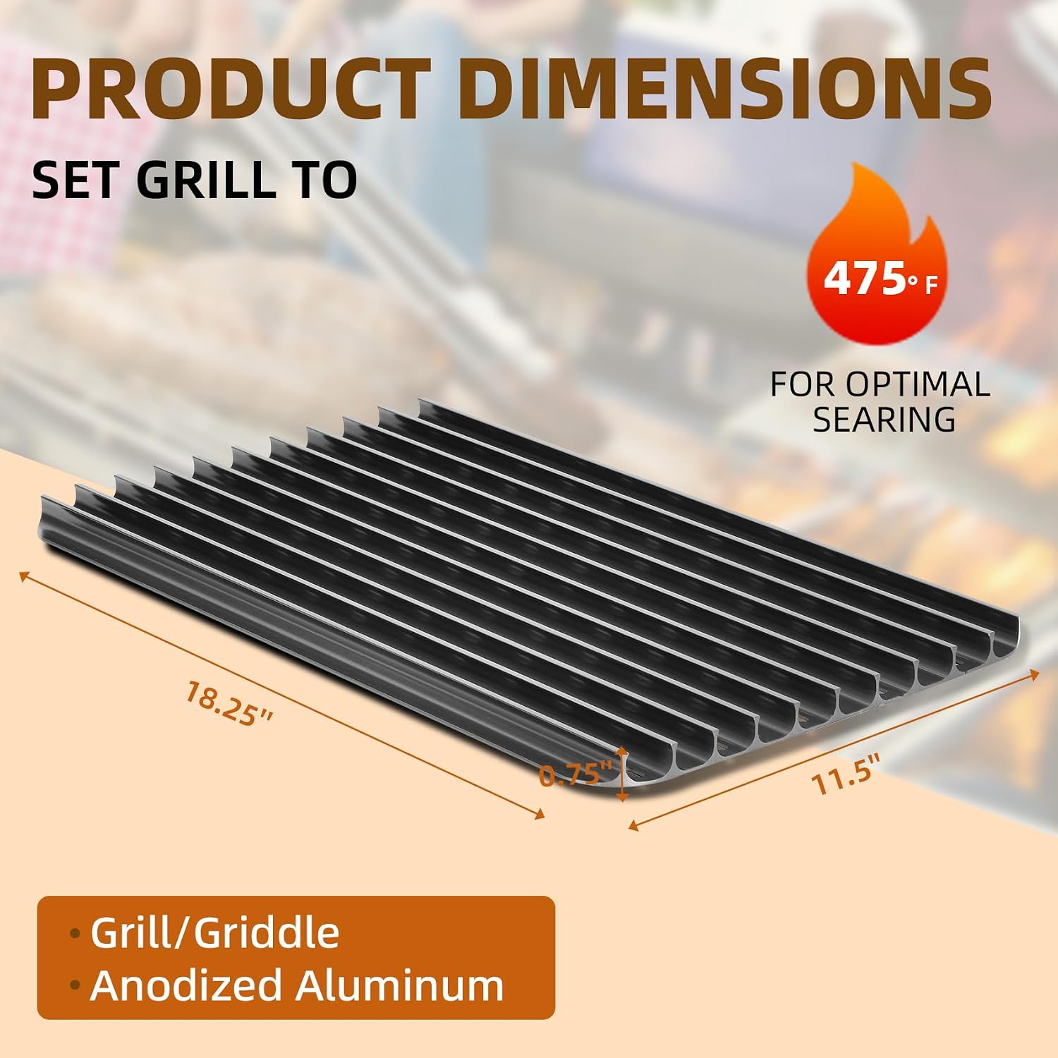 18.25'' x 11.5'' Kisi Panggang - Foods X ulasan dan harga