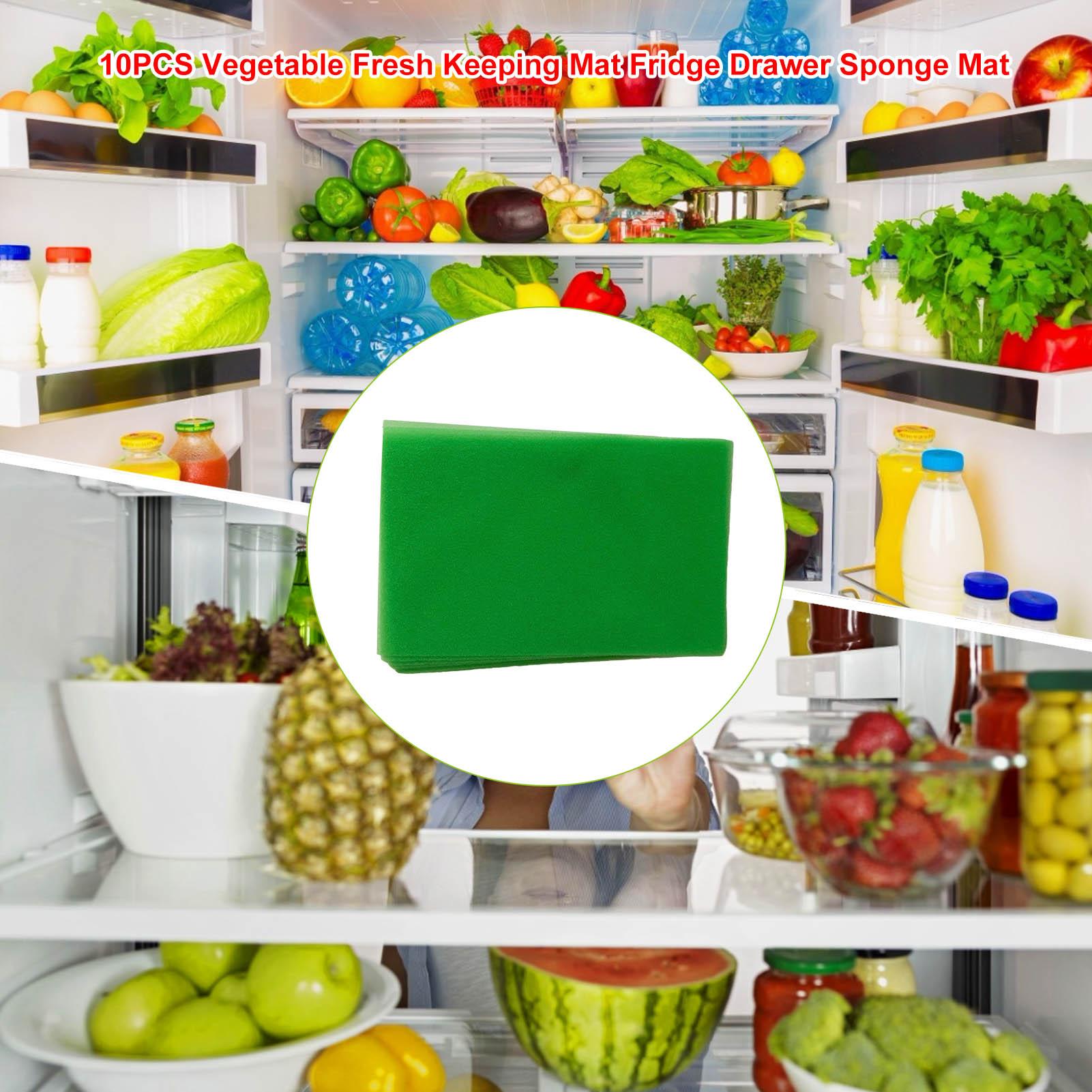 Pelapis Laci Kulkas Dapat Dicu - Foods X ulasan dan harga